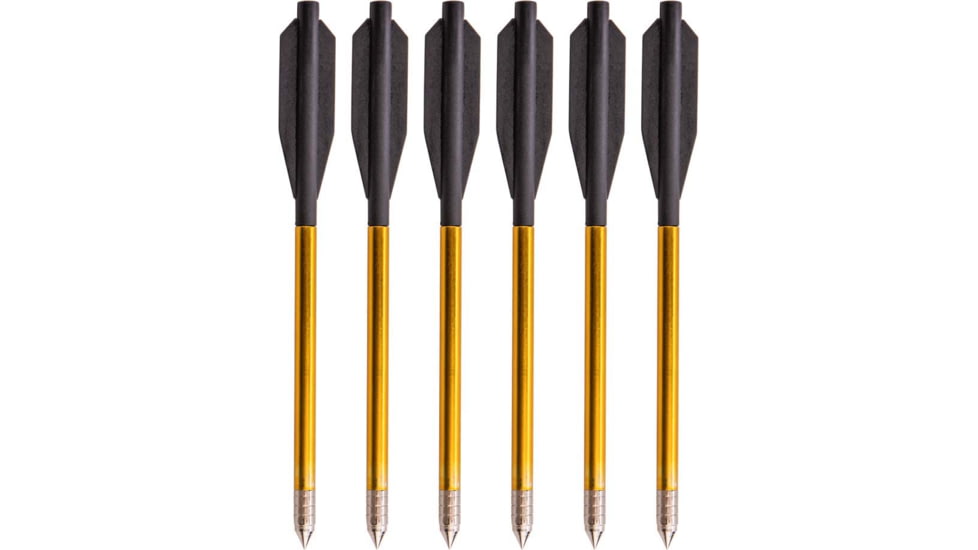 Bear X Desire-Bolts, AVXA12P