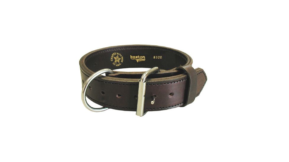 CANINE COLLAR AGITATION