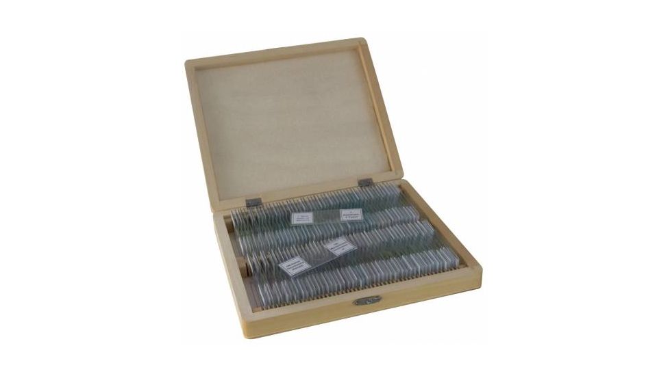 Bresser 100 Permanent preparations, Biology 5986003