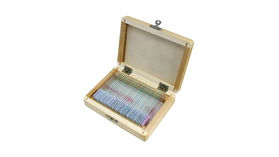 Bresser 30 Permanent preparations, Animal 5986000