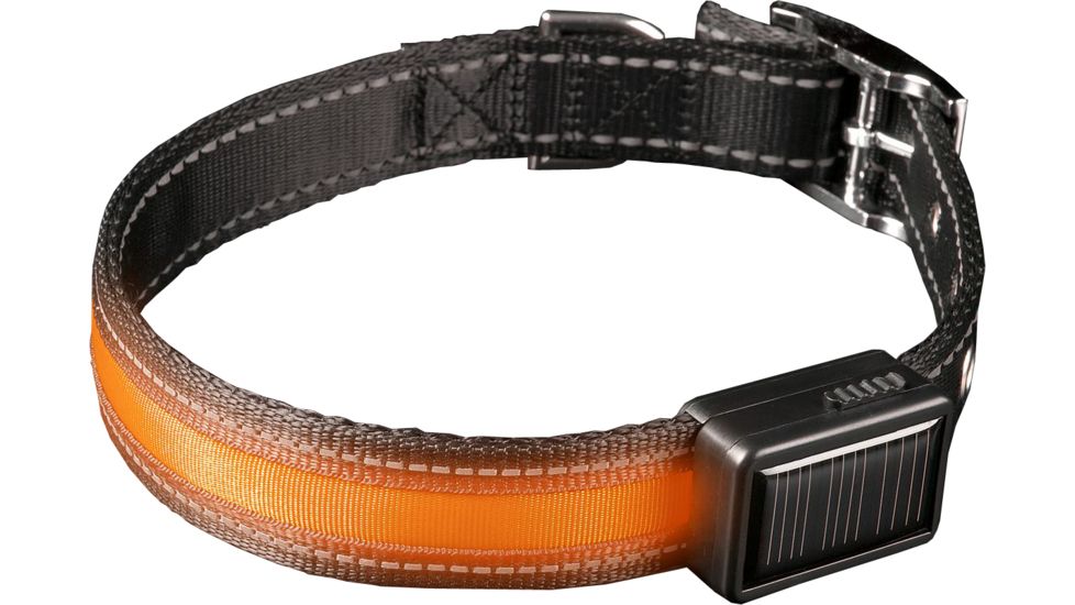 Brite Strike Technologies Rechargeable Lighted Dog Collar, Orange/Black, Small LPSCU-ORANGE-S