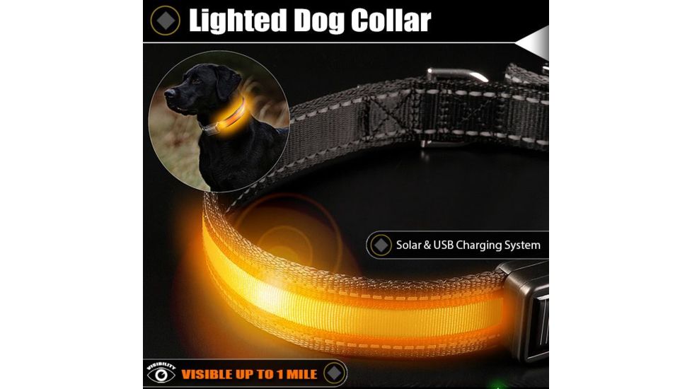Brite Strike Technologies Rechargeable Lighted Dog Collar, Orange/Black, Small LPSCU-ORANGE-S