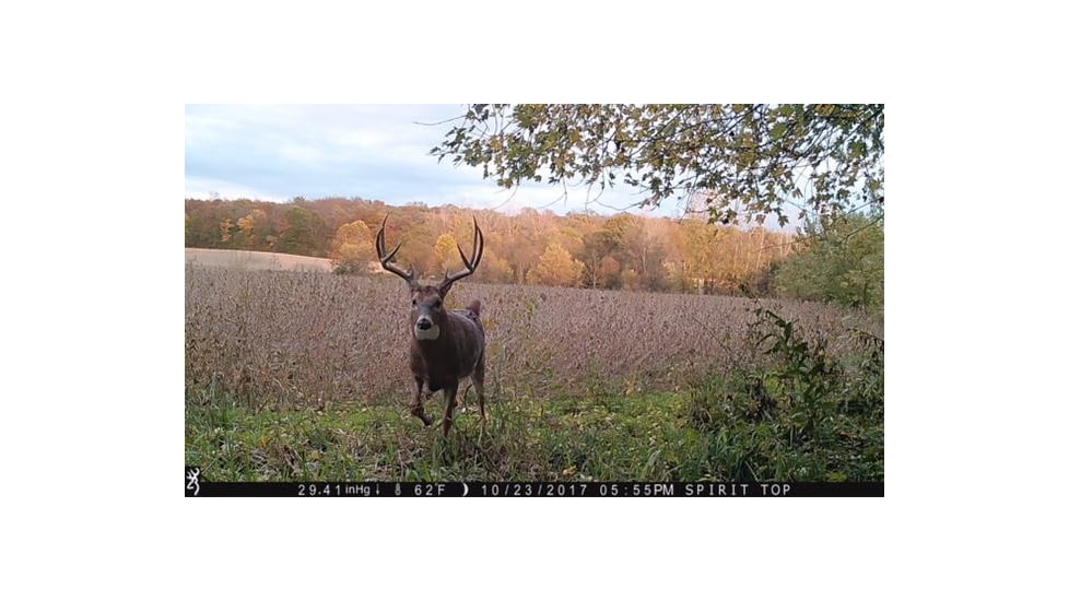 Browning Trail Cameras Strike Force Pro X-20MP, BTC-5HDPX