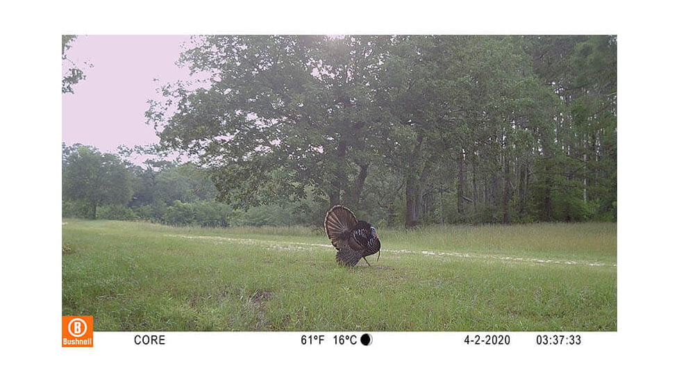 Bushnell 30mp Core S-4k Tree Bark Camo No Glow Box - 119949C