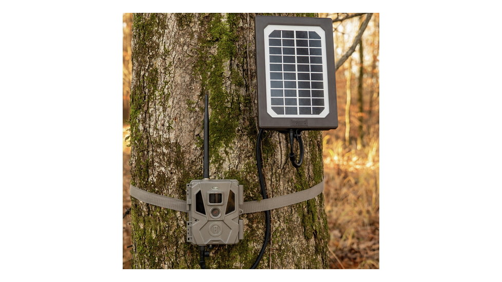 Bushnell Solar Panel