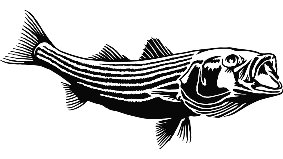 Calcutta Fish Decals