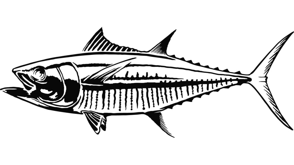 Calcutta Fish Decals