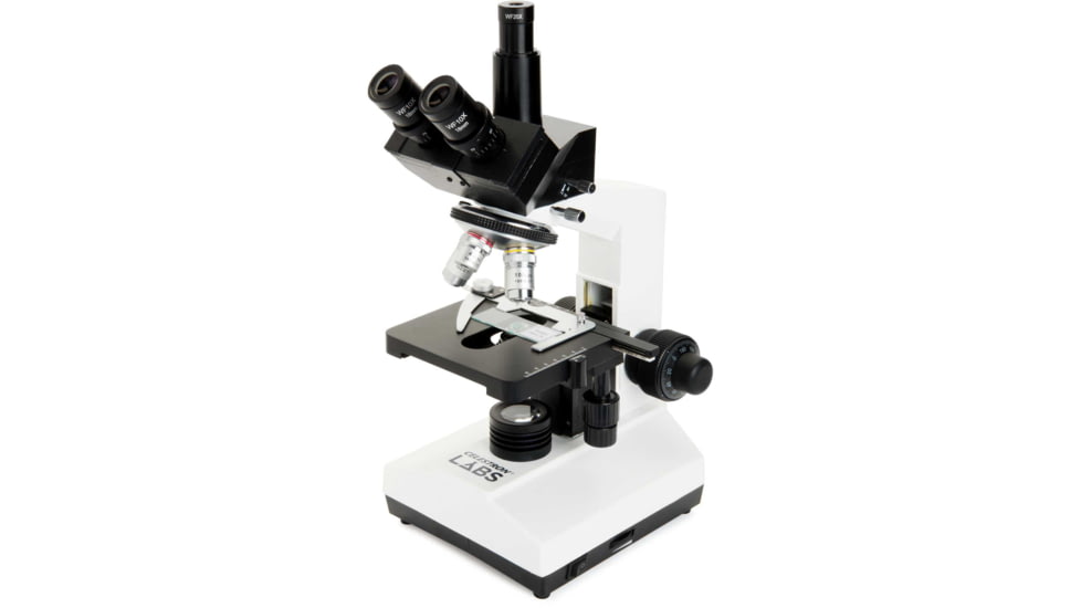 Celestron Labs CB2000C Compound Binocular Microscope,10x,20x Eyepieces,4x,10x,40x,100x Achromatic Objective Lenses 44132