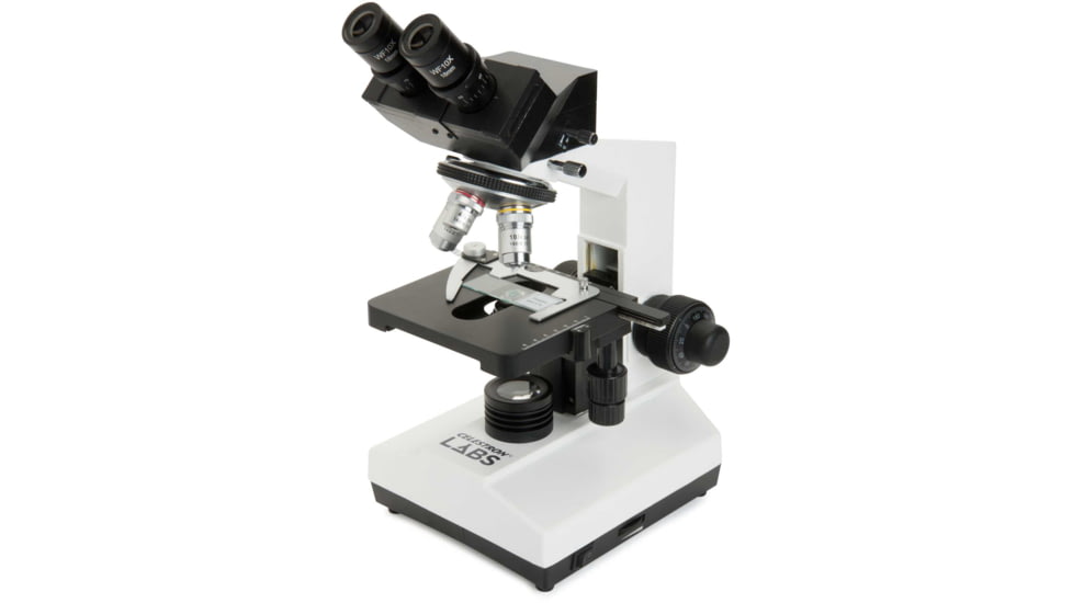 Celestron Labs CB2000C Compound Binocular Microscope,10x,20x Eyepieces,4x,10x,40x,100x Achromatic Objective Lenses 44132