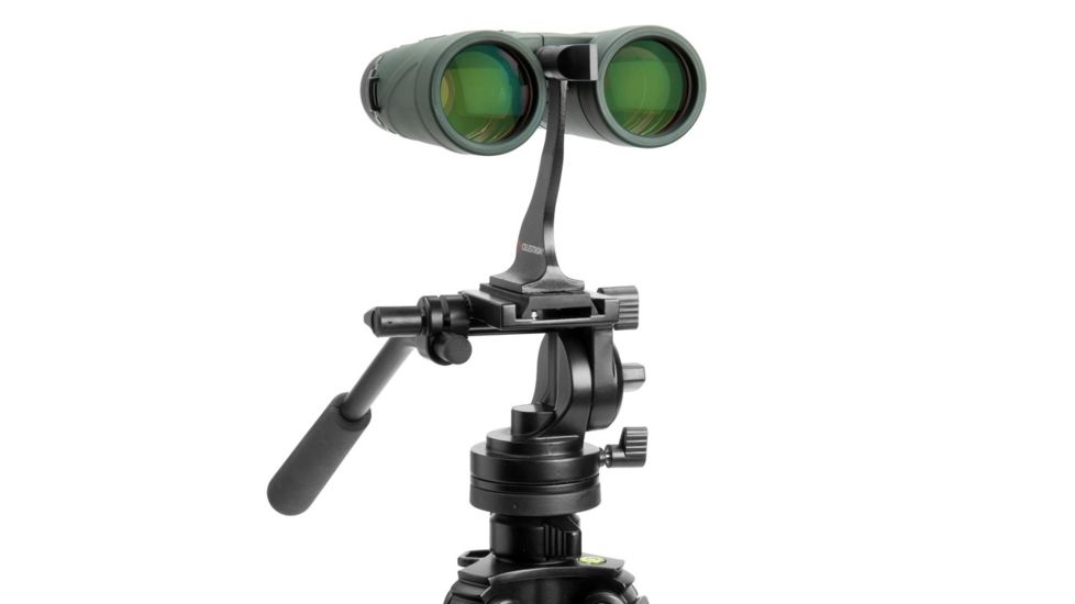 Celestron Nature DX 8x42mm Roof Prism Binoculars, Green, 71332