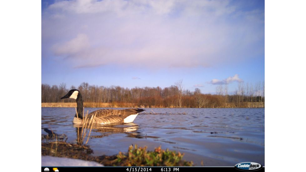 Cuddeback C2 Long Range Video Camera 20 MP Brown