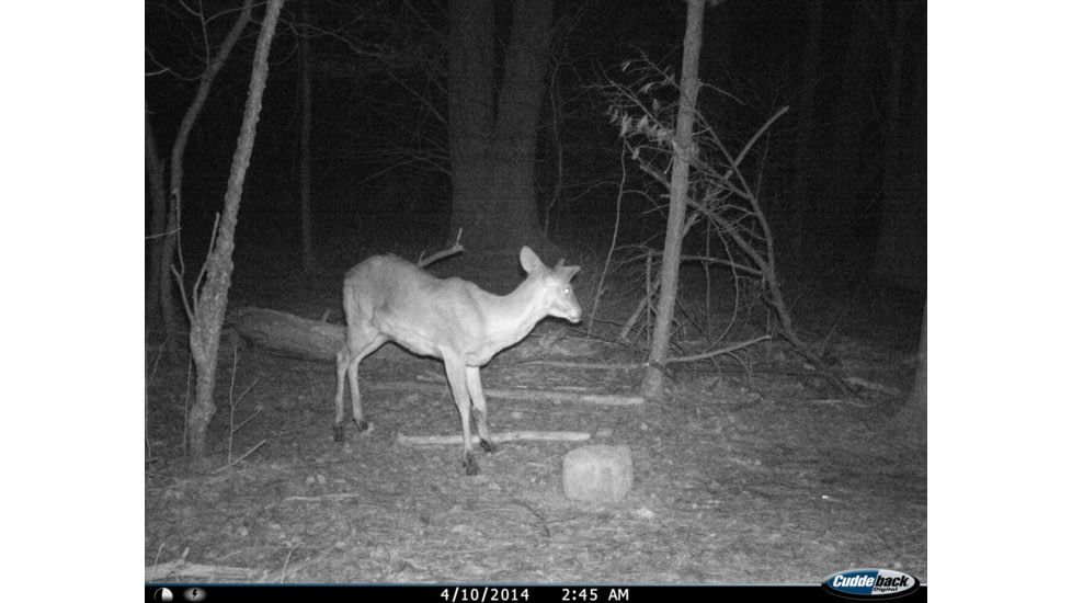 Cuddeback C2 Long Range Video Camera 20 MP Brown