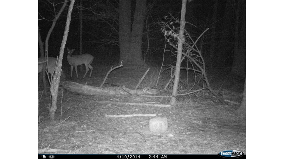 Cuddeback C2 Long Range Video Camera 20 MP Brown