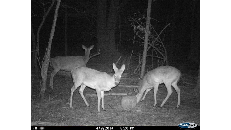 Cuddeback C2 Long Range Video Camera 20 MP Brown