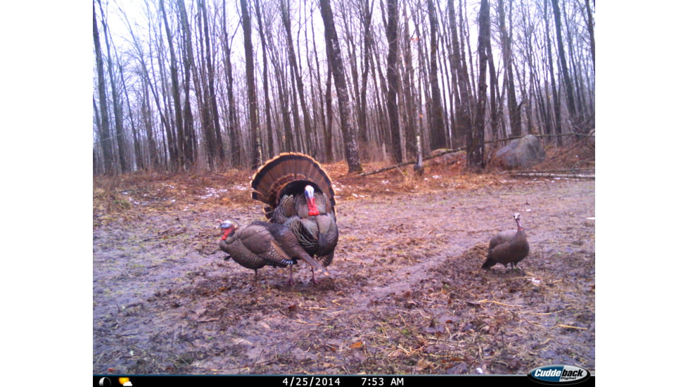 Cuddeback C2 Long Range Video Camera 20 MP Brown