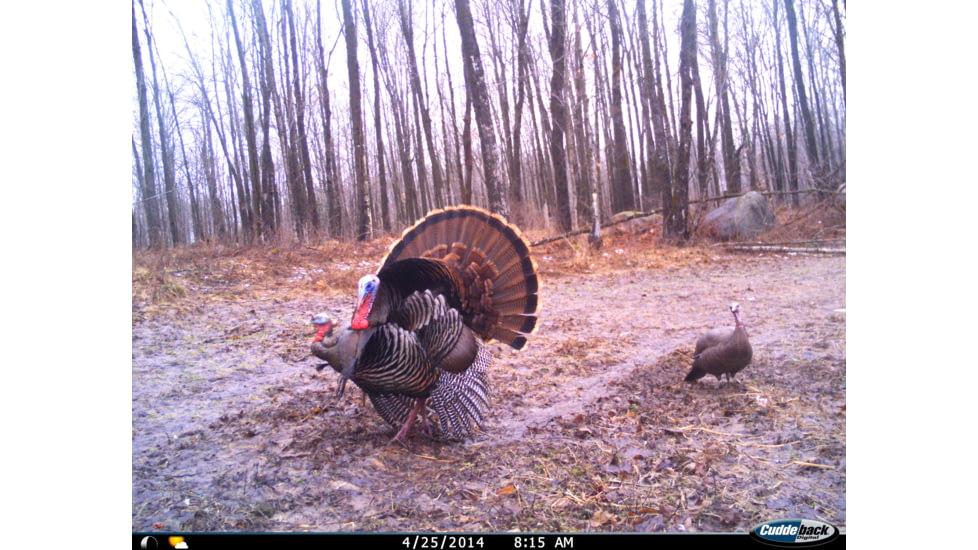 Cuddeback C2 Long Range Video Camera 20 MP Brown