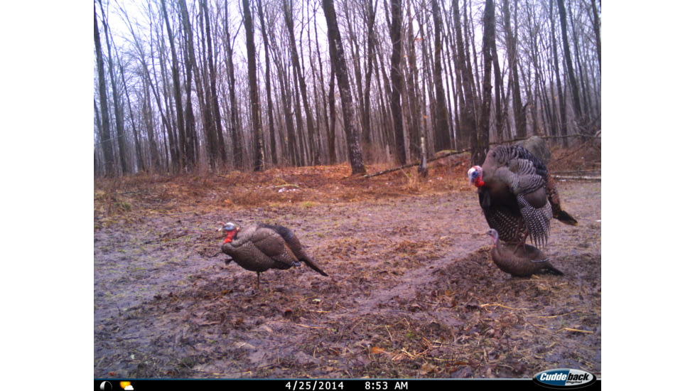 Cuddeback C2 Long Range Video Camera 20 MP Brown