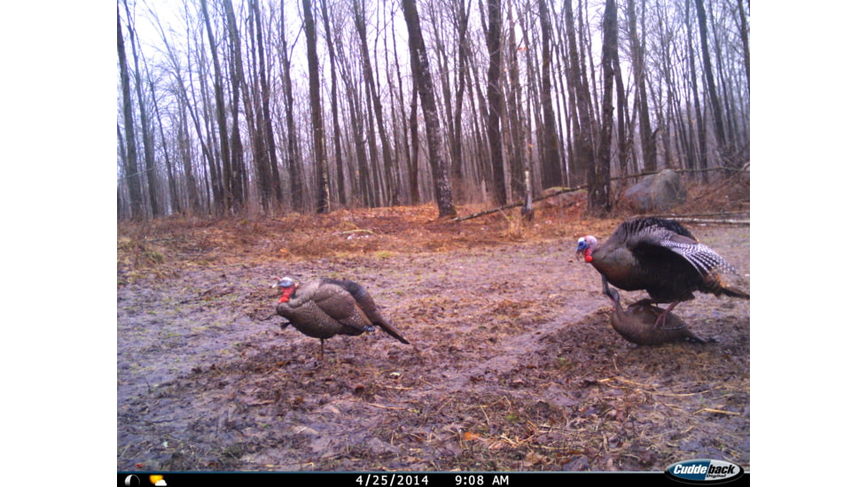 Cuddeback C2 Long Range Video Camera 20 MP Brown