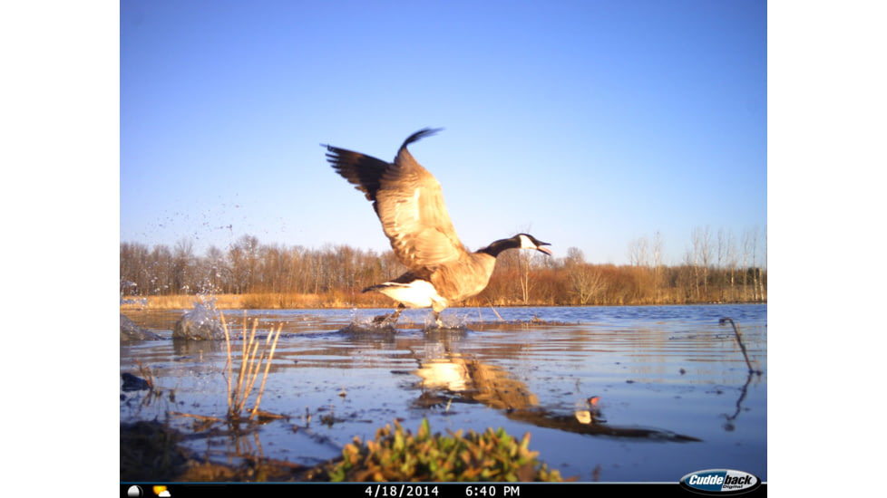 Cuddeback C2 Long Range Video Camera 20 MP Brown