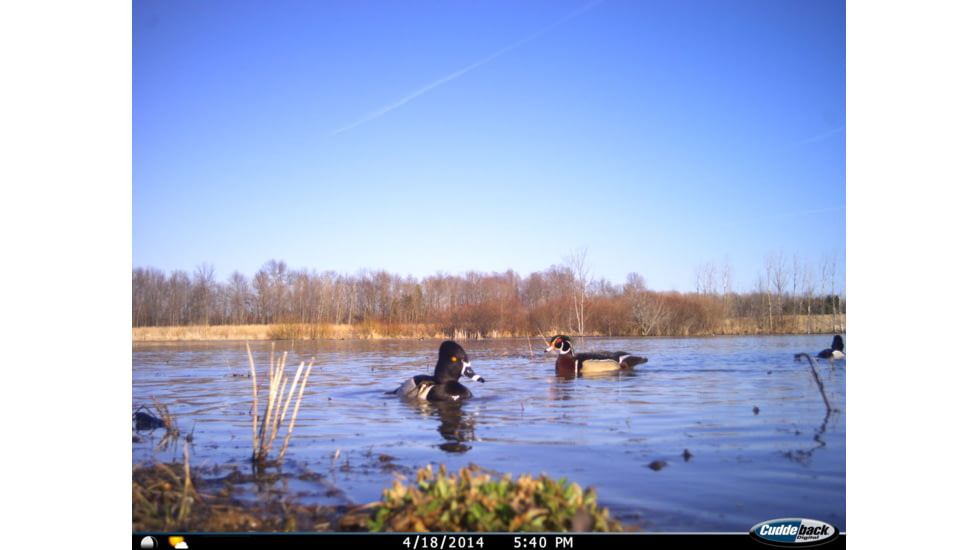 Cuddeback C2 Long Range Video Camera 20 MP Brown