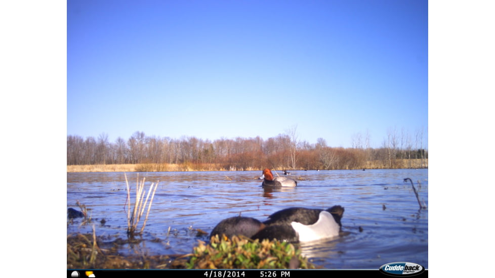 Cuddeback C2 Long Range Video Camera 20 MP Brown