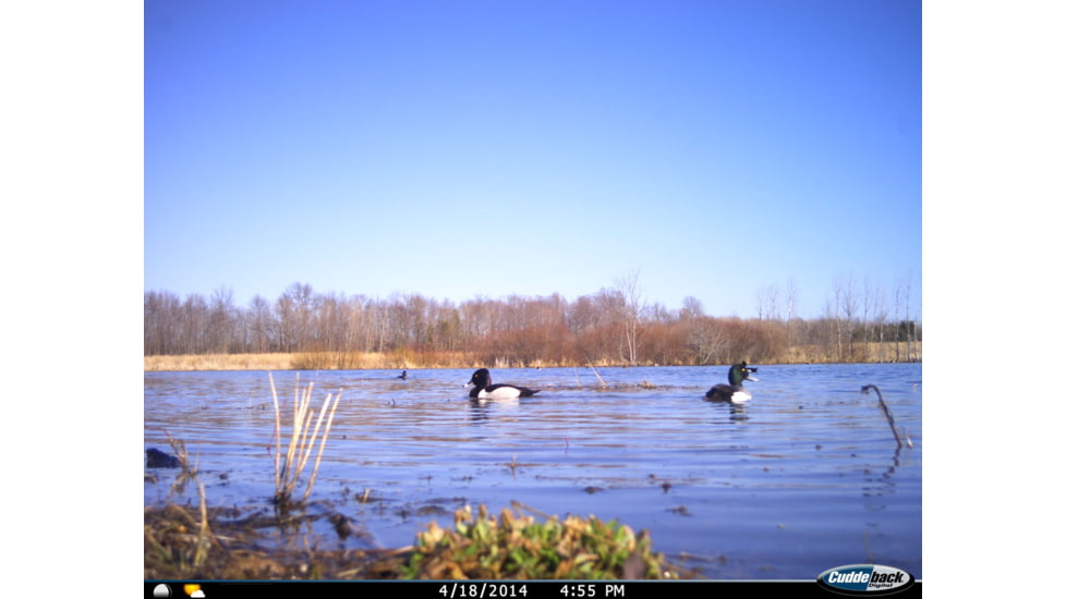 Cuddeback C2 Long Range Video Camera 20 MP Brown