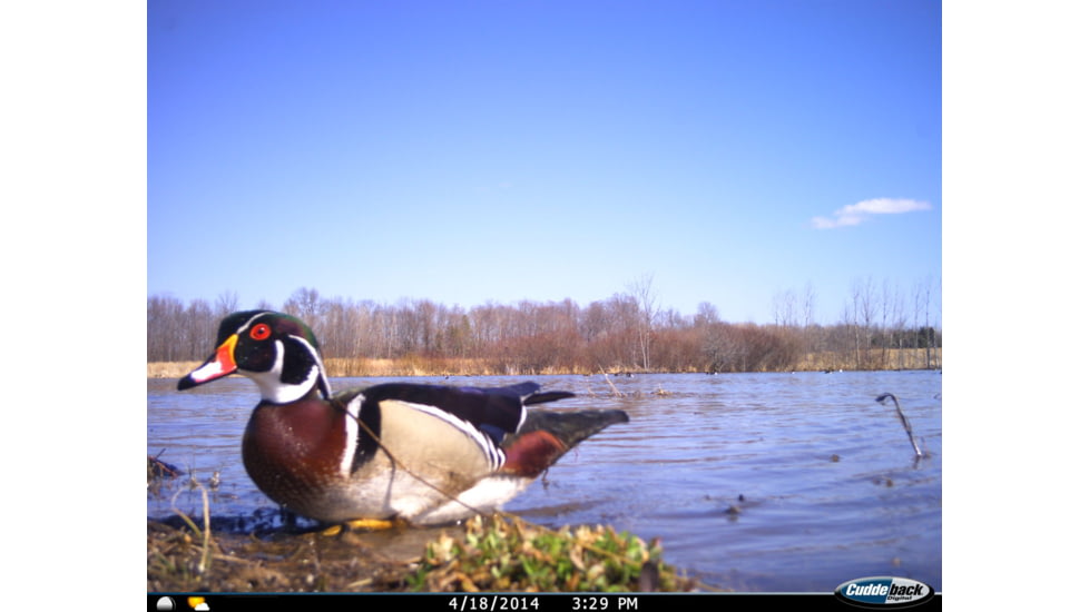 Cuddeback C2 Long Range Video Camera 20 MP Brown