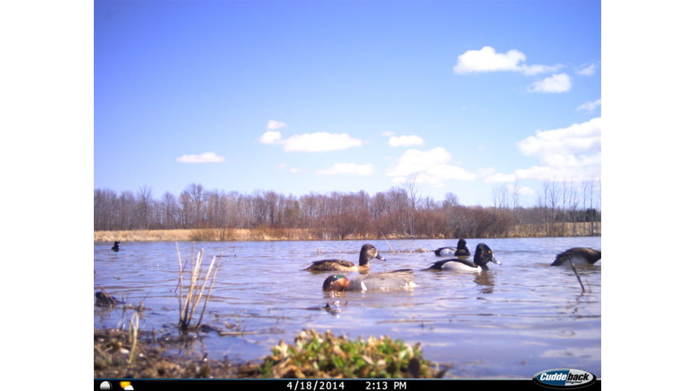 Cuddeback C2 Long Range Video Camera 20 MP Brown