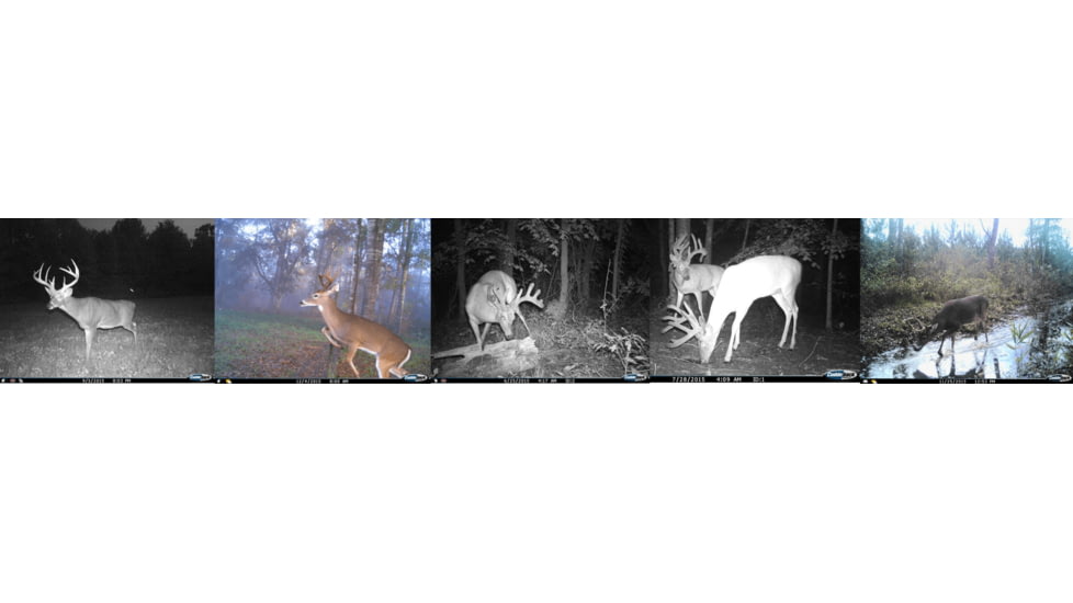 Cuddeback Cuddelink Black Flash, J1538