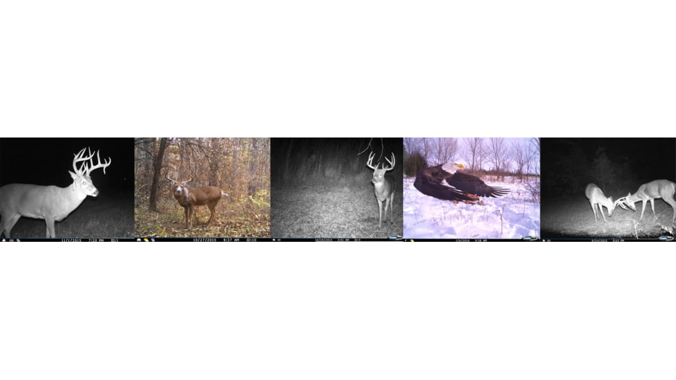 Cuddeback Cuddelink Black Flash, J1538