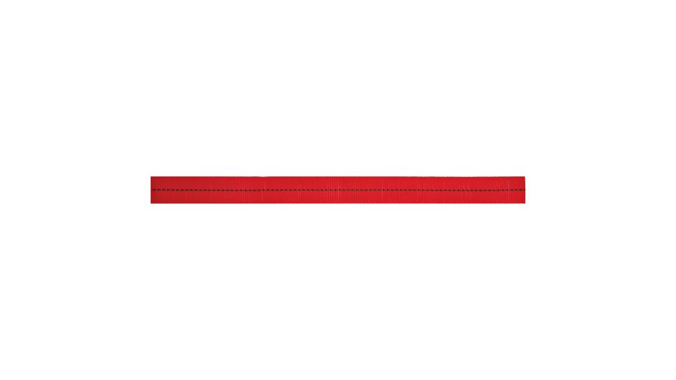 Cypher 30 Ft 11/16 Webbing - Royal ROYAL
