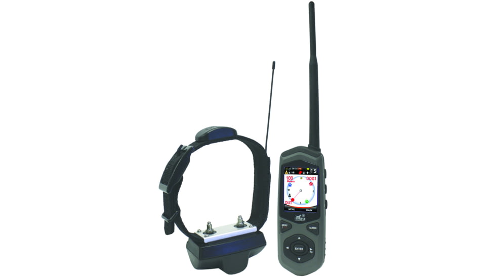 D.T. Systems Border Patrol Collar