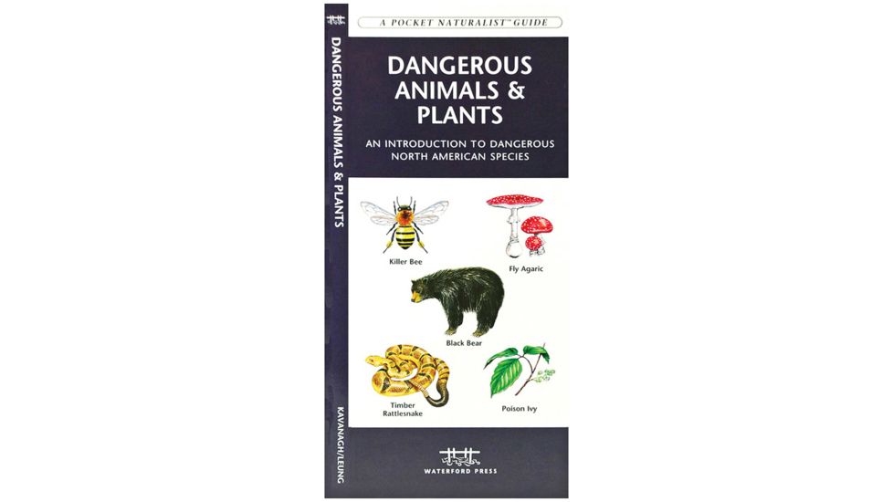 Ntl Book Network Edible &amp; Medicinal Mushrooms 9781493008032