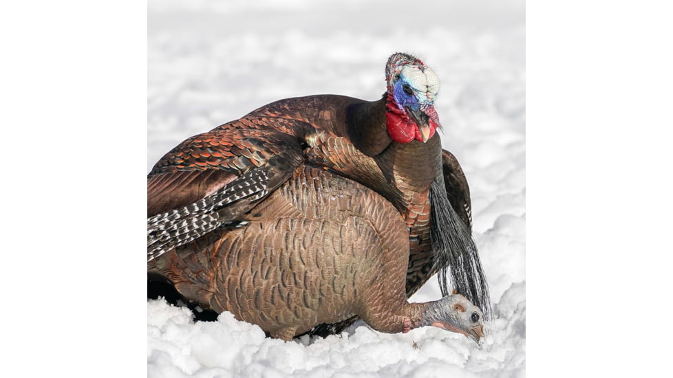 Dave Smith Decoys Feeding Hen Decoy
