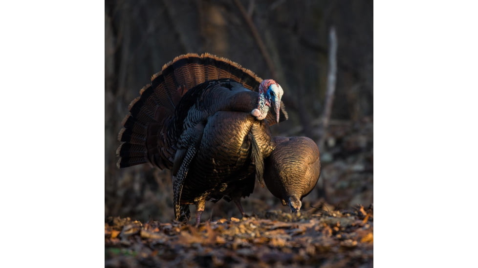 Dave Smith Decoys Feeding Hen Decoy