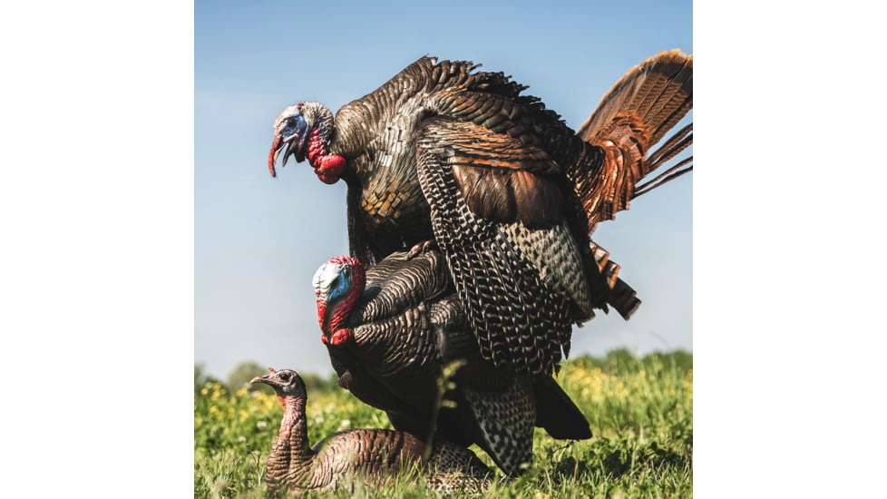 Dave Smith Decoys Mating Motion Pair Decoy