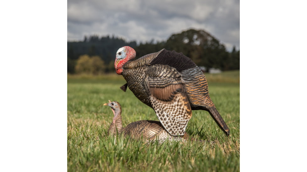 Dave Smith Decoys Mating Motion Pair Decoy