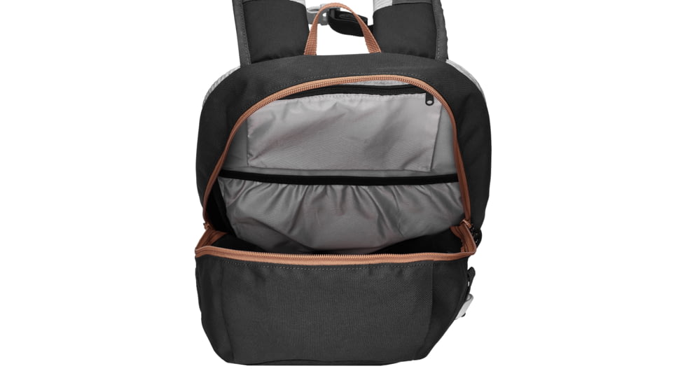 Decathlon Quechua NH 100 Hiking Backpack, Black, 20L, 4646171