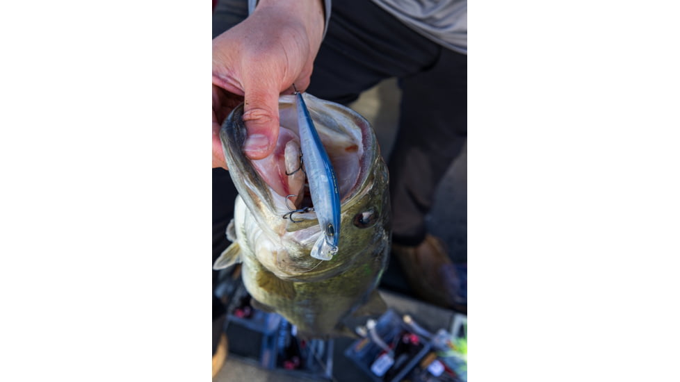 Duckett Fishing Reveal Forward Facing Sonar Jerkbait, 4.5in, 3/4oz, Chrome Shad, DBRJ3/4 CS