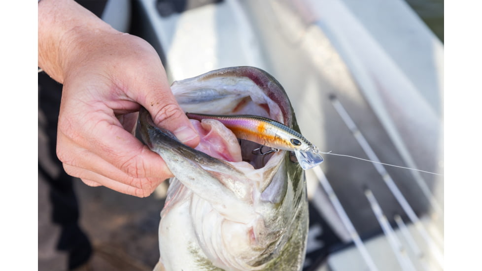 Duckett Fishing Reveal Forward Facing Sonar Jerkbait, 4.5in, 3/4oz, Chrome Shad, DBRJ3/4 CS