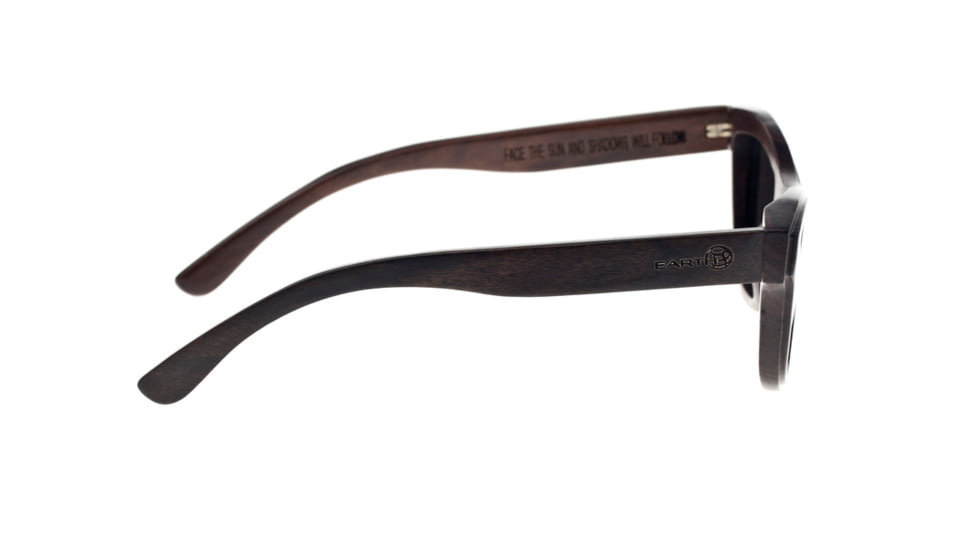 Earth Westport Sunglasses, 041e, ESpresso, ESG041E