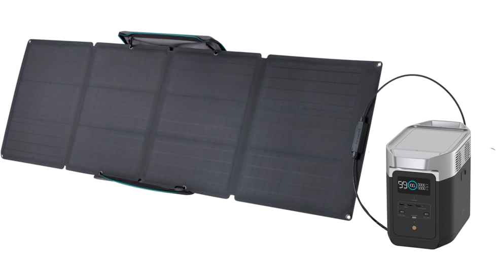 EcoFlow DELTA 2 w/ 1 Portable Solar Panel, 110W, Black, DELTA2-110W