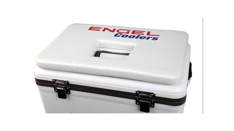 Engel Cushion