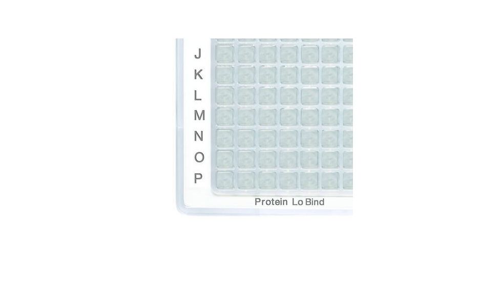 Eppendorf Plate 384w 200 Prot Lob Pk160 925000101, Unit PK
