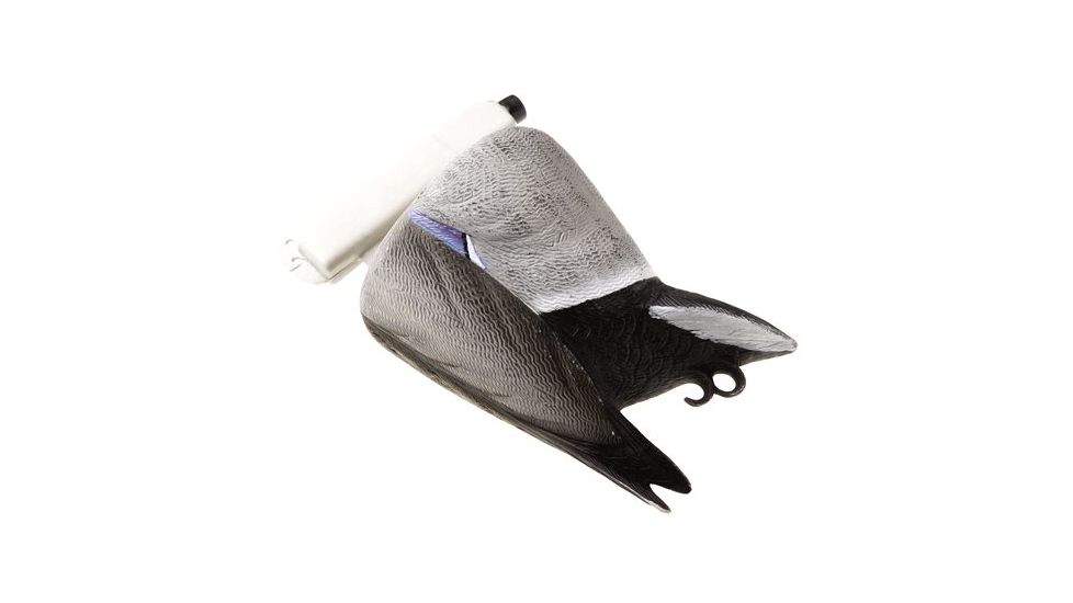 Final Approach Feeding Mallard Drake 474275