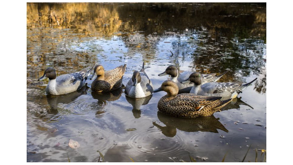 Flambeau Classic Pintail Decoy
