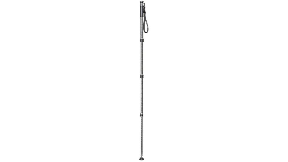 Gitzo Carbon Monopod Ser.2 4S GM2542