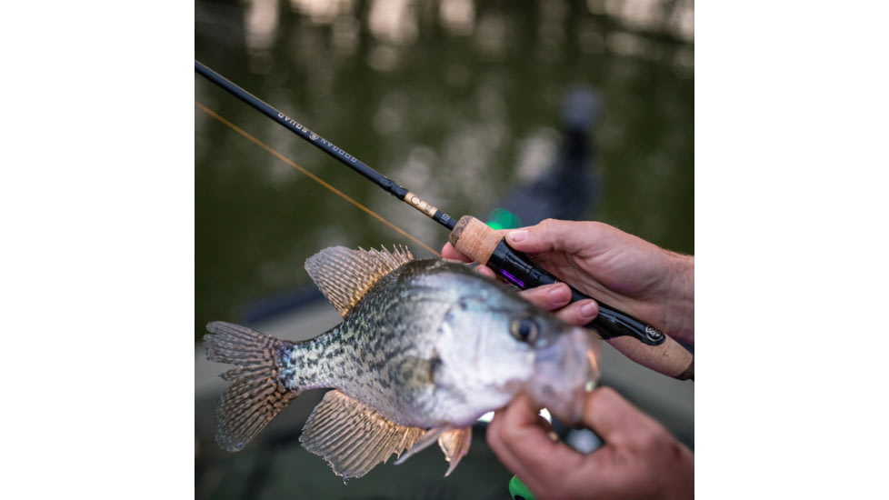 Googan Squad Gold Series 7ft Micro Light Spinning Rod