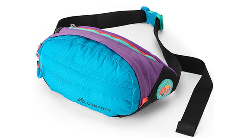 Gregory Nano Waistpack Plus Pack, Uh Purple, One Size Plus, 147156-A390