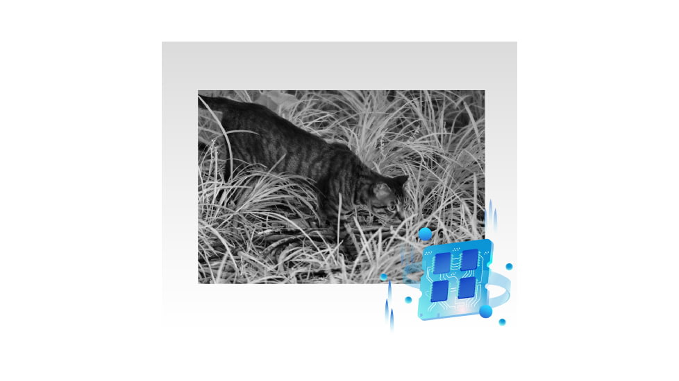 Guide USA DN Series DN30 1.9-15.2x30mm Night Vision Binocular, 3840x2160, Black, DN30